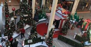 Holiday Shopping at the Chestnnut Hill Mall